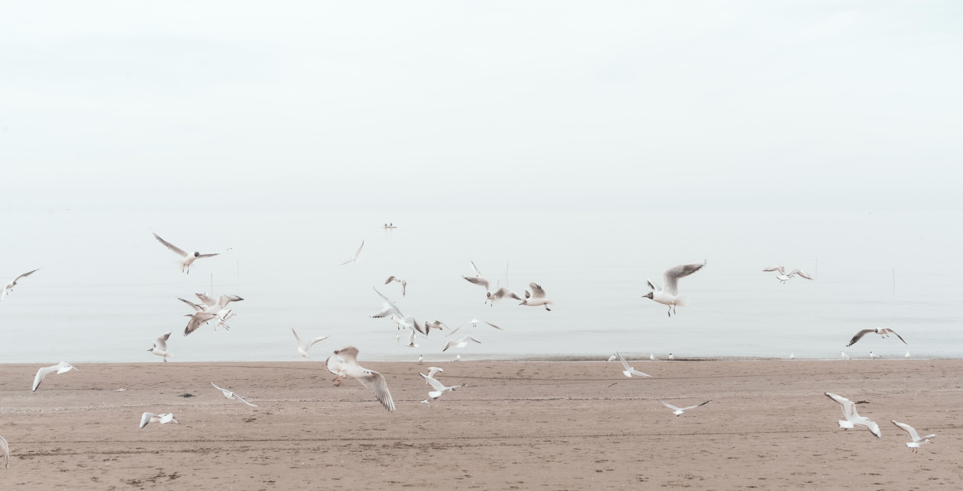 Gallery-Air-Freedom-Img_4.jpg